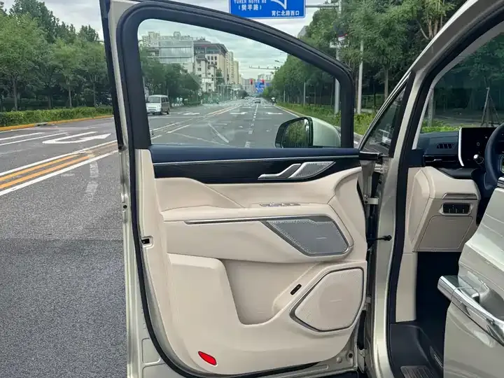 WEY Mountain 2023 Four-wheel Drive Flagship Edition 8