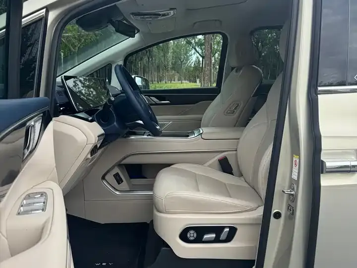 WEY Mountain 2023 Four-wheel Drive Flagship Edition 9
