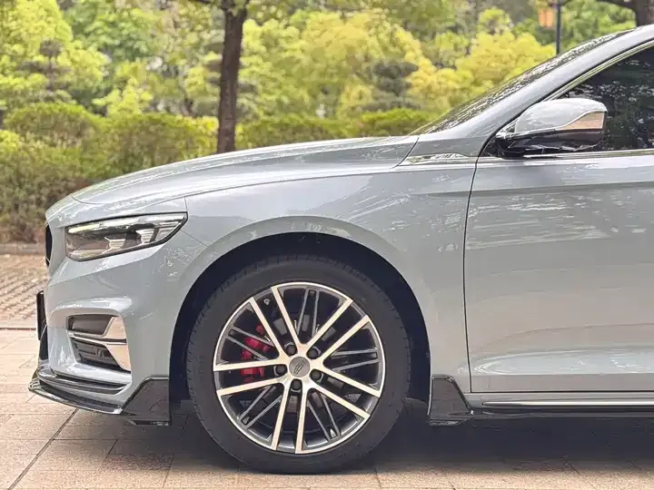 Xingrui 2023 1.5TD Kunlun Edition 12