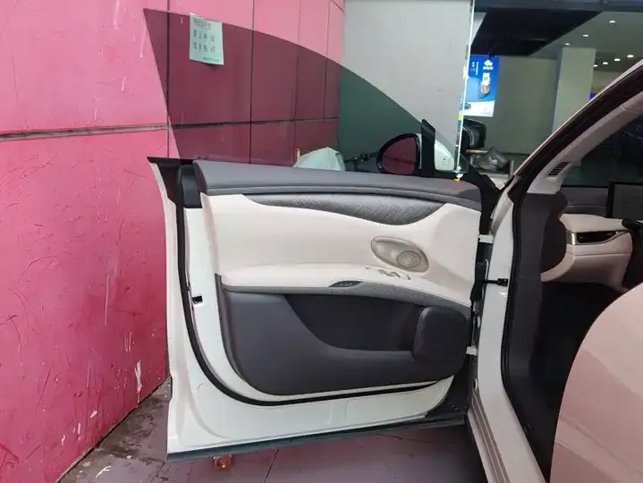 IM LS6 2025 Lizard Smart Driving Edition 7