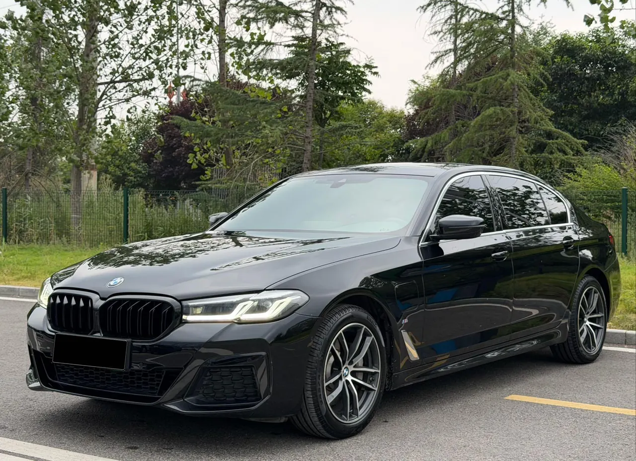 BMW 5 series new energy 2021 535Le 2.0T M sports suit automatic gear - View 1