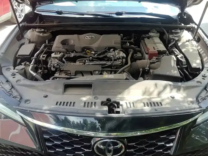 Asian Dragon 2022 2.5L Deluxe Edition 10