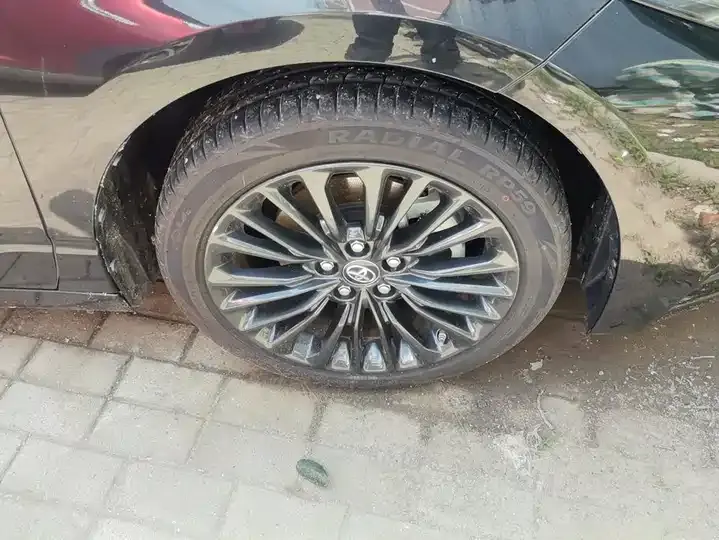 Asian Dragon 2022 2.5L Deluxe Edition 6