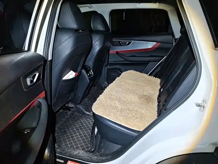 Ruihu 7 2022 Super Edition 1.5T CVT Super Guard 11