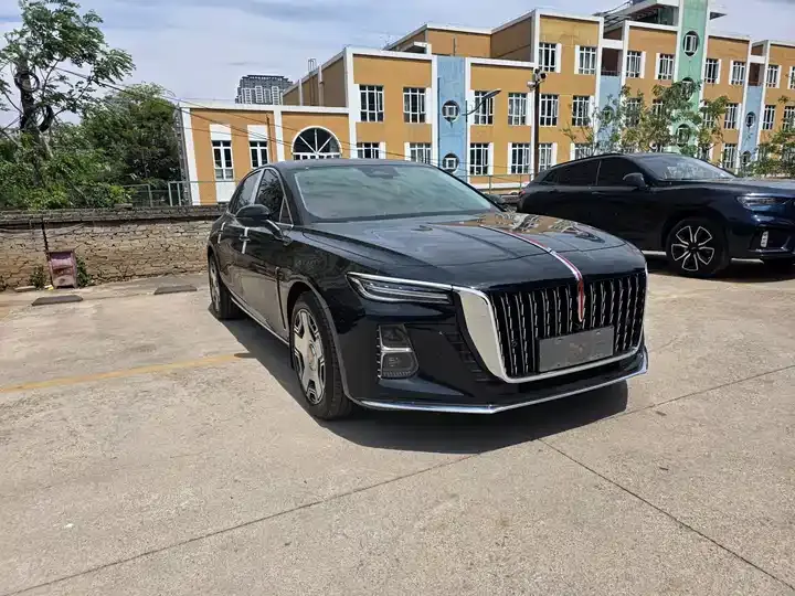 HongQi H5 2025 2.0T Automatic Flag Edition 3