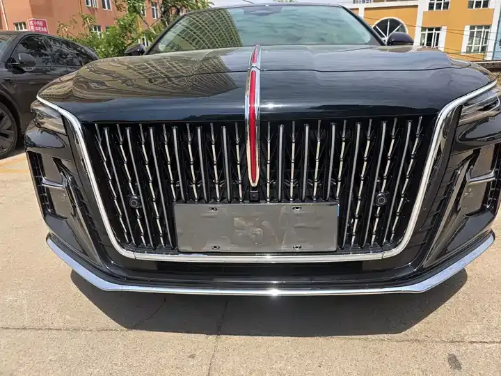 HongQi H5 2025 2.0T Automatic Flag Edition 4