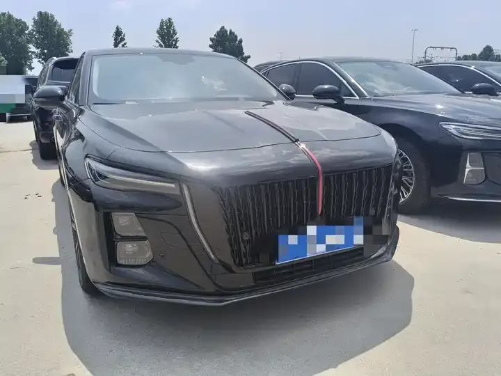 HongQi H5 2025 1.5T DCT Xuan Ying Edition 3
