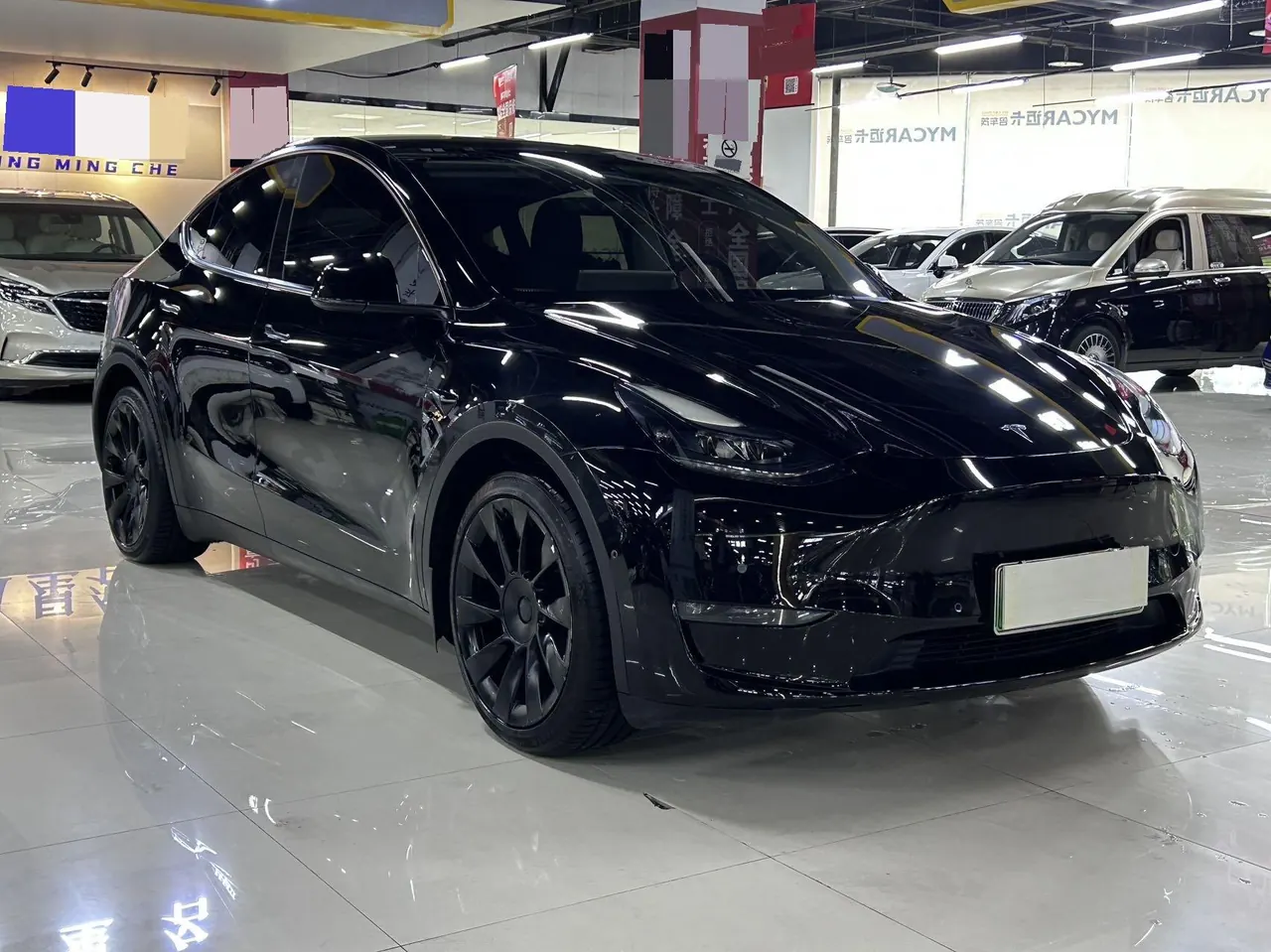 Tesla 2021 Model Y Standard Endurance Rear Drive Automatic Gear 3