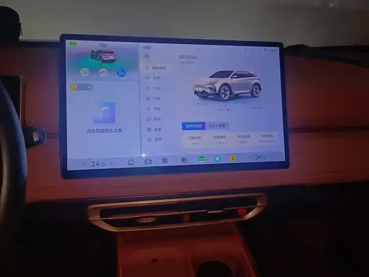 Neta X 2023 500 Lite 10