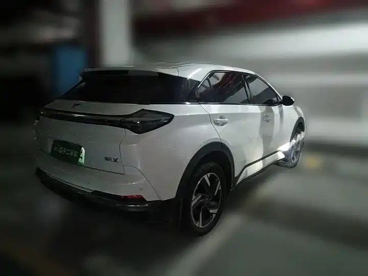 Neta X 2023 500 Lite 5