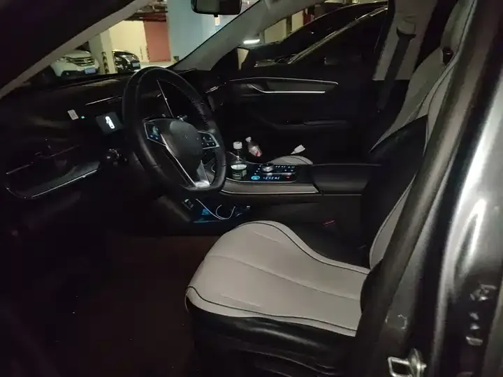 Destroyer 05 2024 Glory Edition DM-i 55km Luxury Model 12