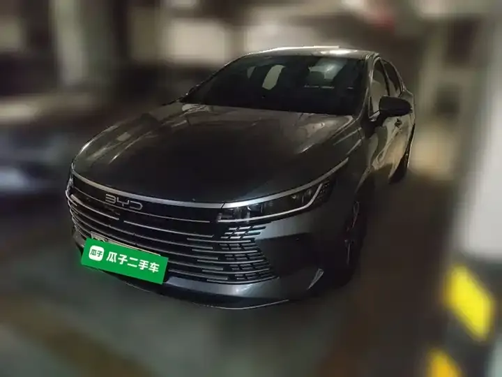 Destroyer 05 2024 Glory Edition DM-i 55km Luxury Model 2