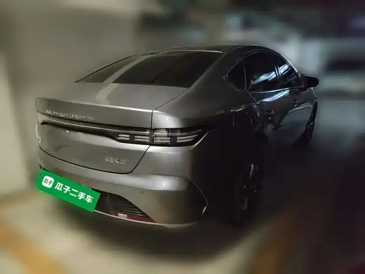 Destroyer 05 2024 Glory Edition DM-i 55km Luxury Model 5