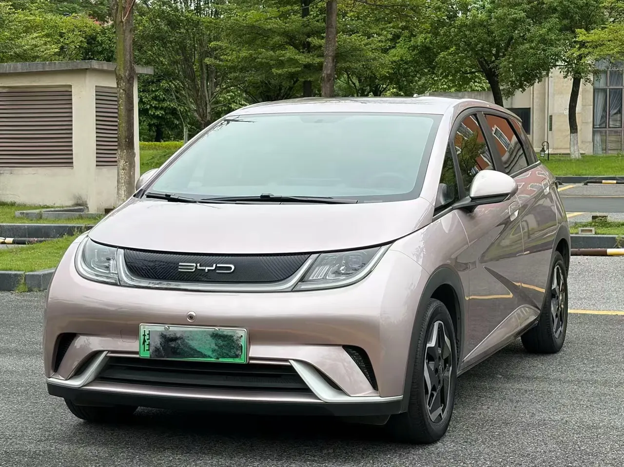 BYD 2021 Dolphins 405km Free Edition Automatic - View 1