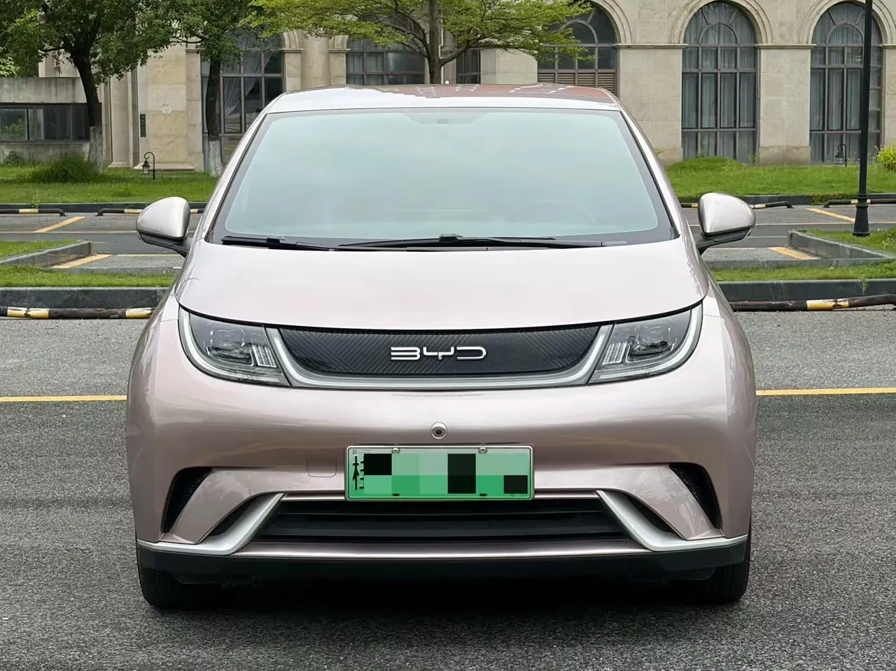 BYD 2021 Dolphins 405km Free Edition Automatic 3