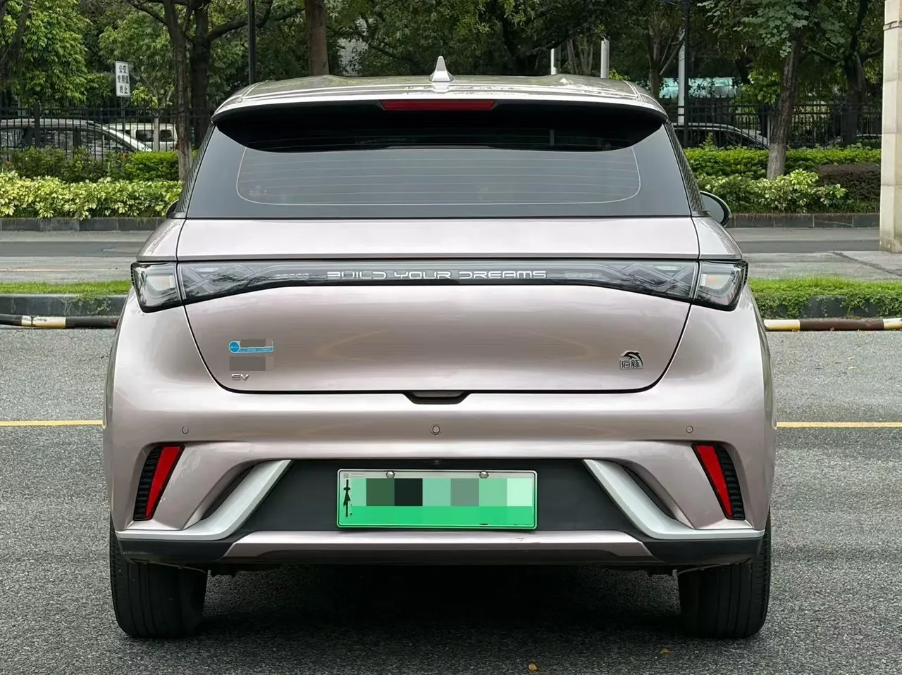 BYD 2021 Dolphins 405km Free Edition Automatic 5