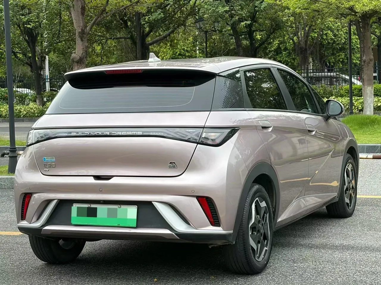 BYD 2021 Dolphins 405km Free Edition Automatic 6