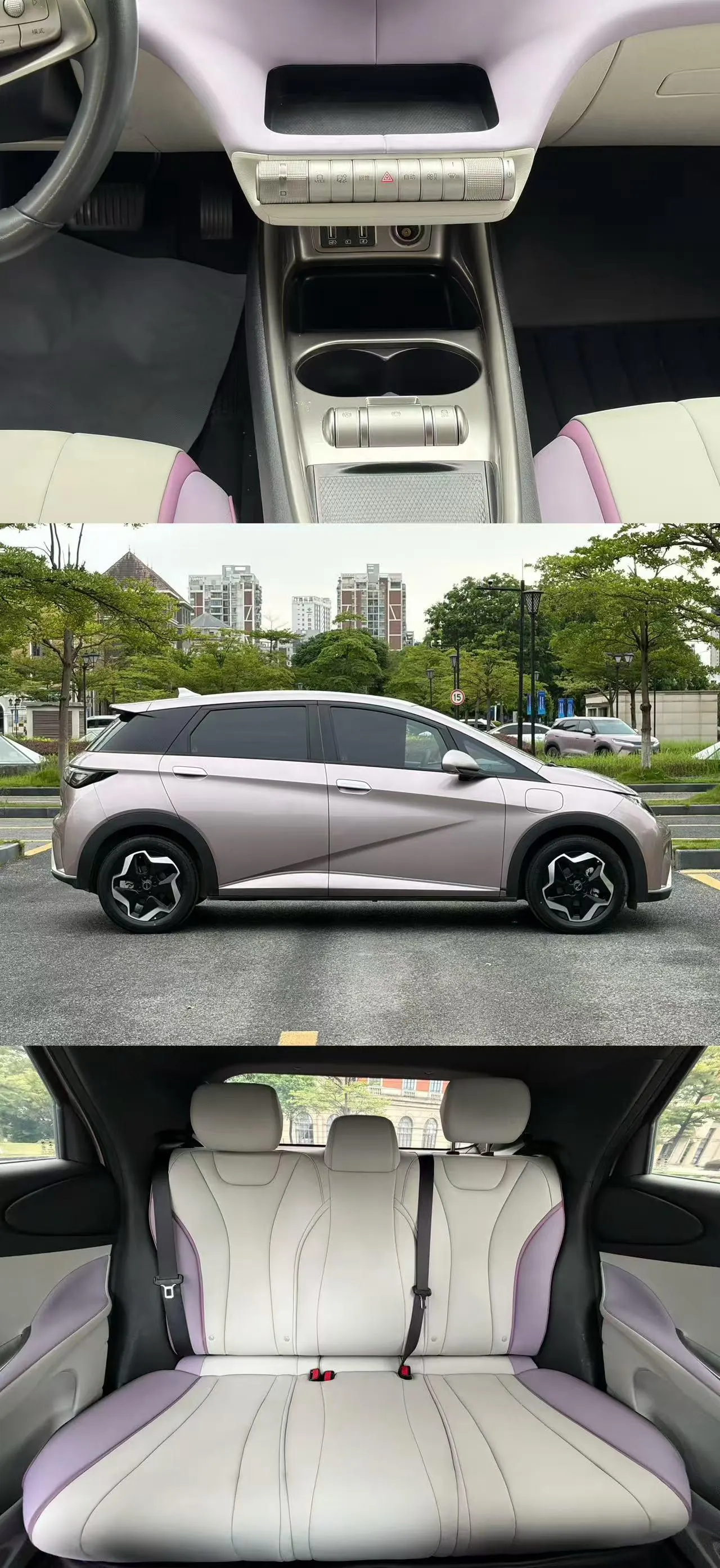 BYD 2021 Dolphins 405km Free Edition Automatic 7