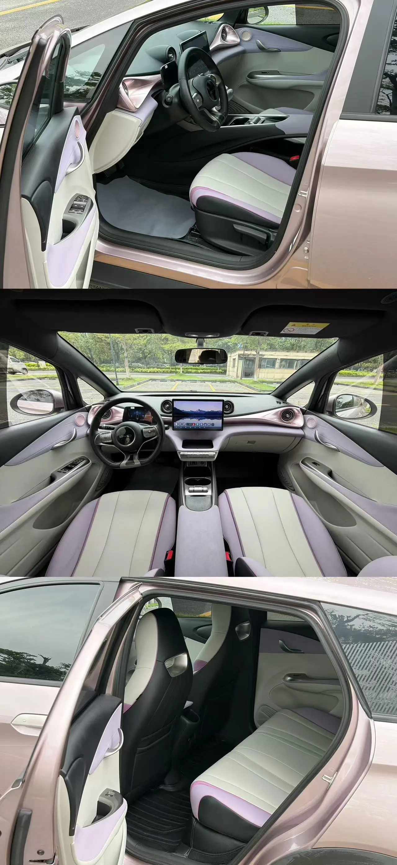 BYD 2021 Dolphins 405km Free Edition Automatic 8