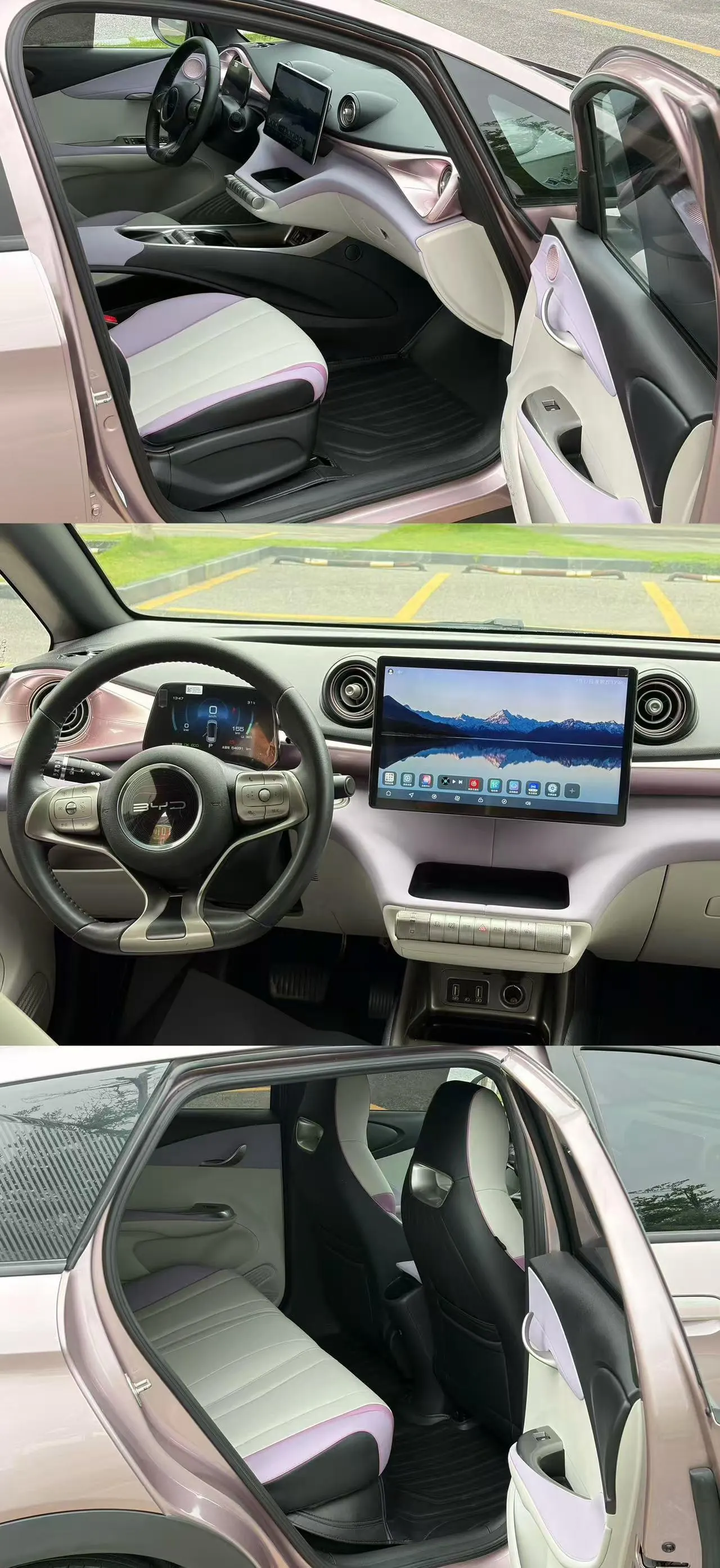 BYD 2021 Dolphins 405km Free Edition Automatic 9