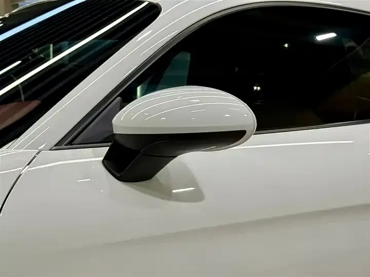 Porsche 718 2020 Cayman 2.0T 9