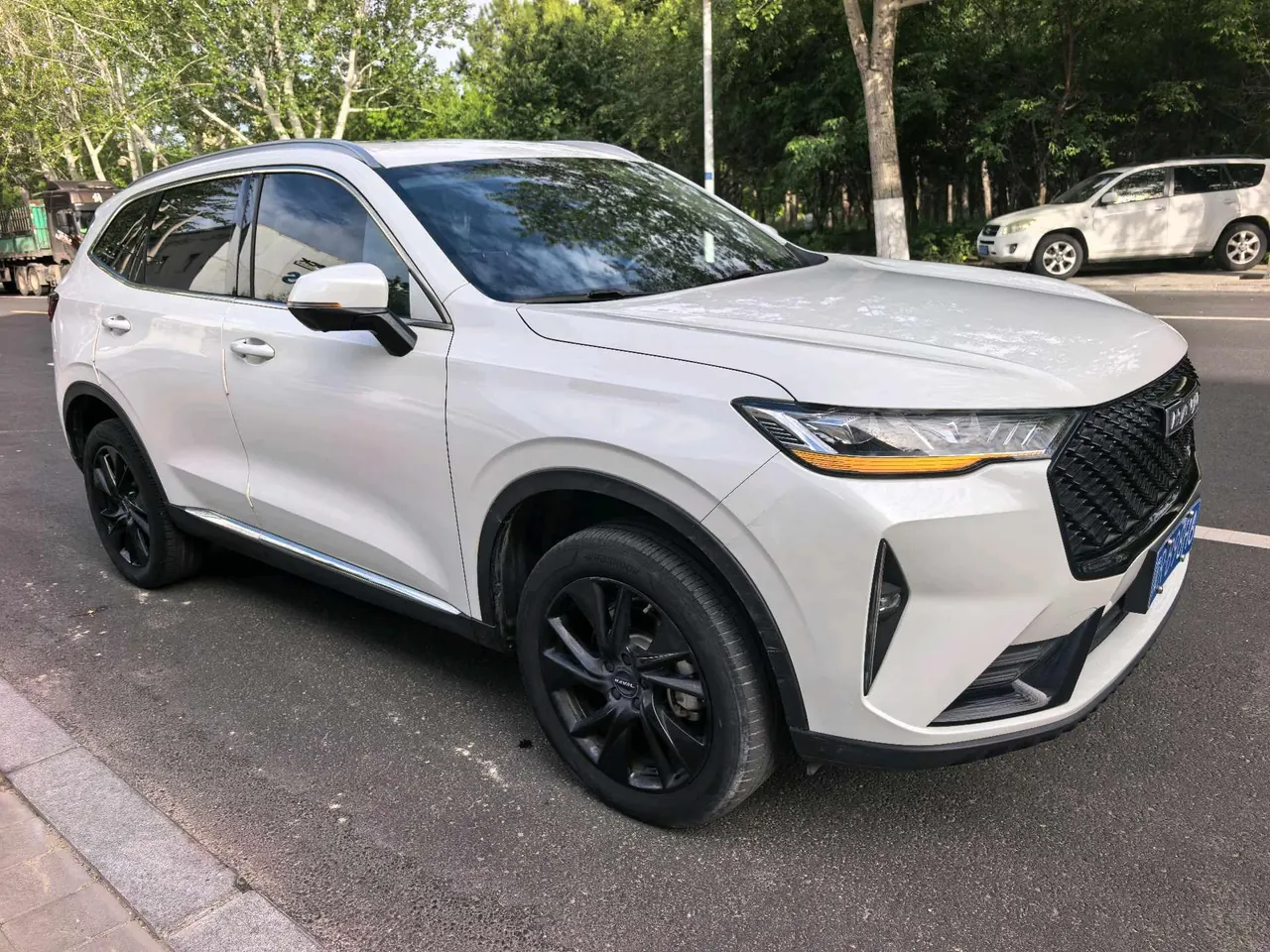 Haval 2021 H6 2.0GDIT four-wheel drive Max automatic gear 6