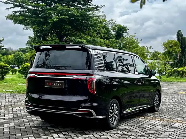 HongQi HQ9 PHEV 2024 2.0T 4WD Deluxe Edition 3