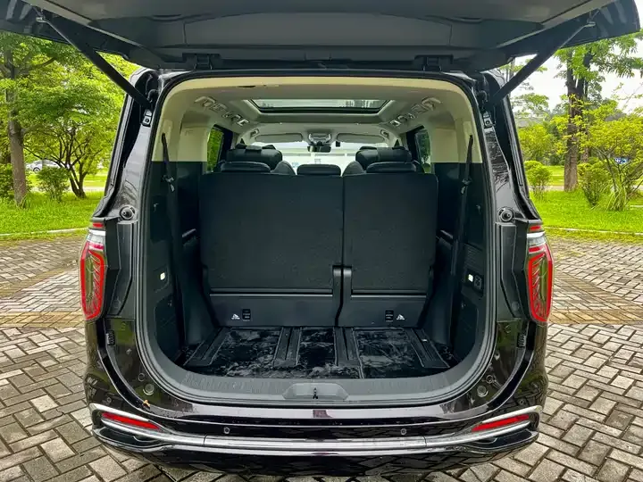 HongQi HQ9 PHEV 2024 2.0T 4WD Deluxe Edition 9