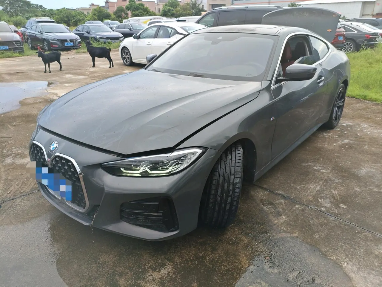 BMW 4 Series (Imported) 2023 425i Coupe 2.0T M Sports Suit Automatic Gear - View 1