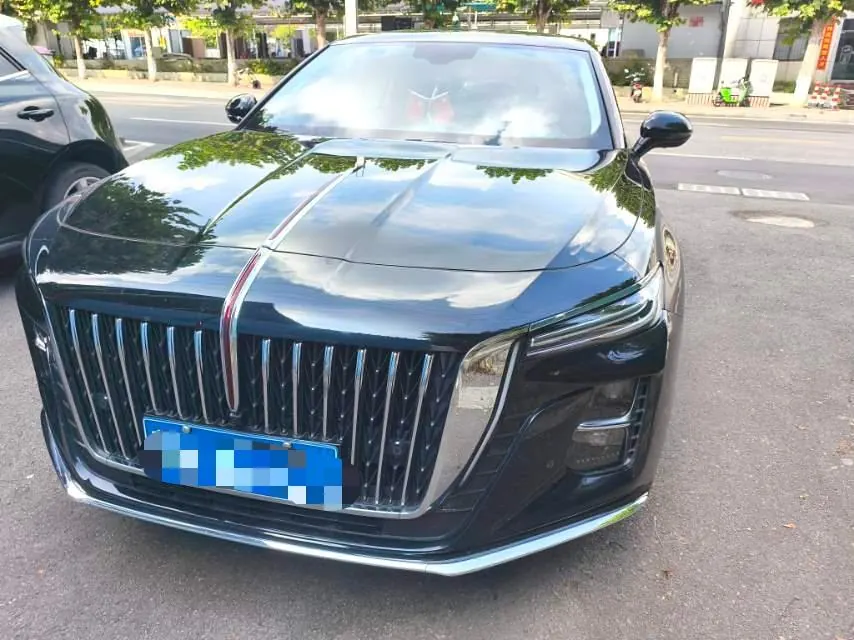 HongQi 2023 H5 1.5T Zhilian Flag Rhyme Edition Automatic Gear 3