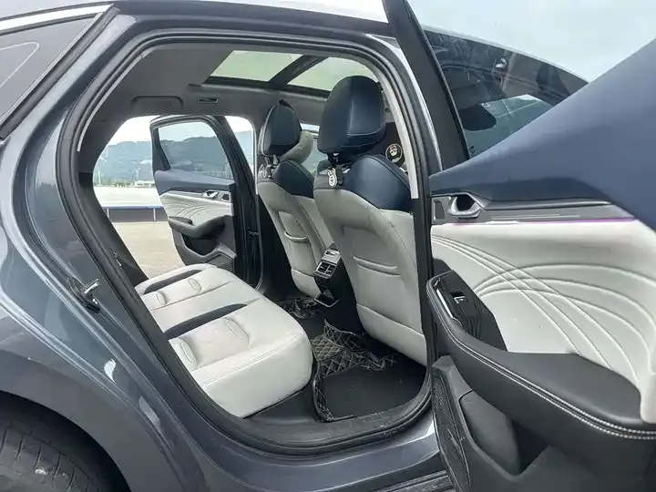 Xingrui 2021 2.0TD Honorable Model 6
