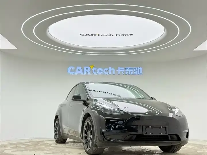 Model Y 2021 Long Life All-Wheel Drive 3D7 2