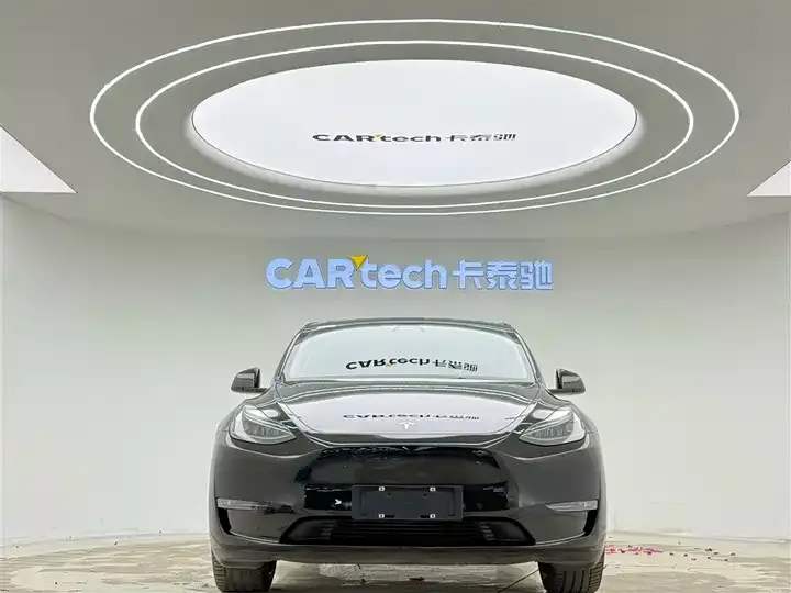 Model Y 2021 Long Life All-Wheel Drive 3D7 3