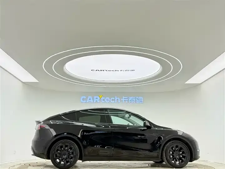 Model Y 2021 Long Life All-Wheel Drive 3D7 4