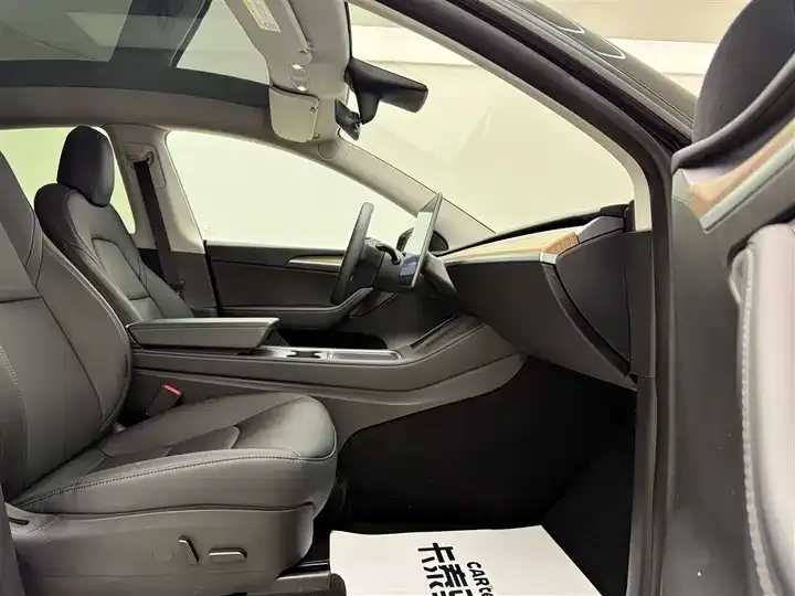 Model Y 2021 Long Life All-Wheel Drive 3D7 7
