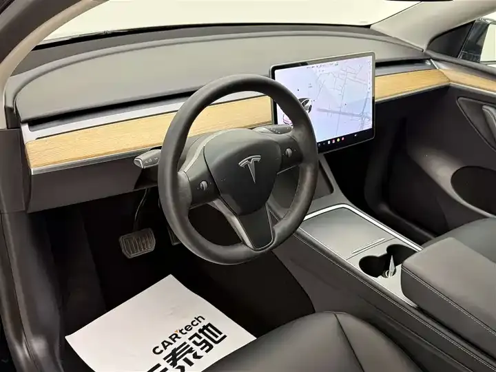 Model Y 2021 Long Life All-Wheel Drive 3D7 9