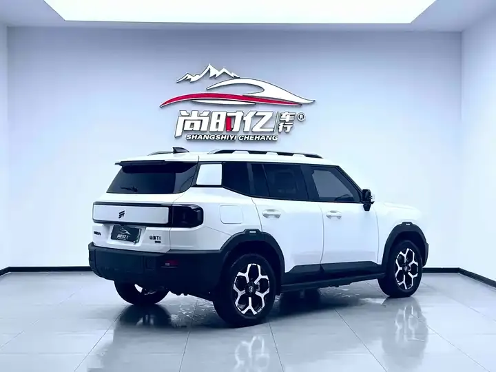 Jetour ShanHai T1 2024 150km to the sea 7