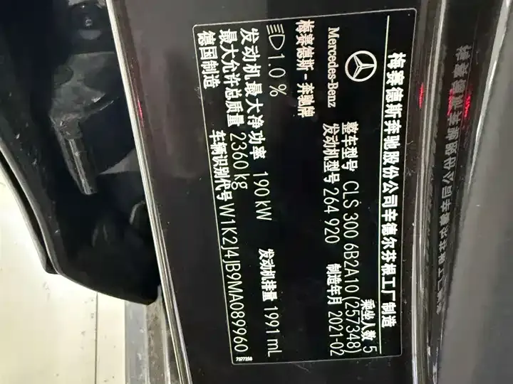 Mercedes Benz CLS 2021 CLS 300 Dynamic 12