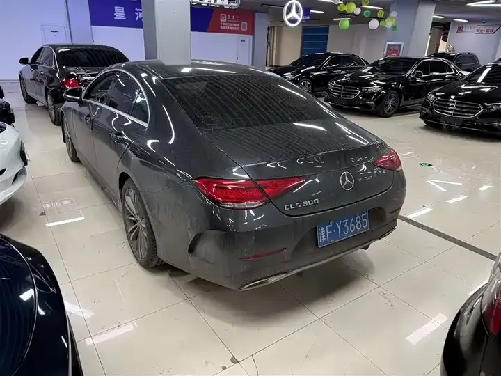 Mercedes Benz CLS 2021 CLS 300 Dynamic 3