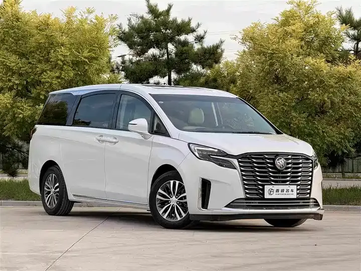 Buick GL8 2023 ES Lu Zun Comfort 3