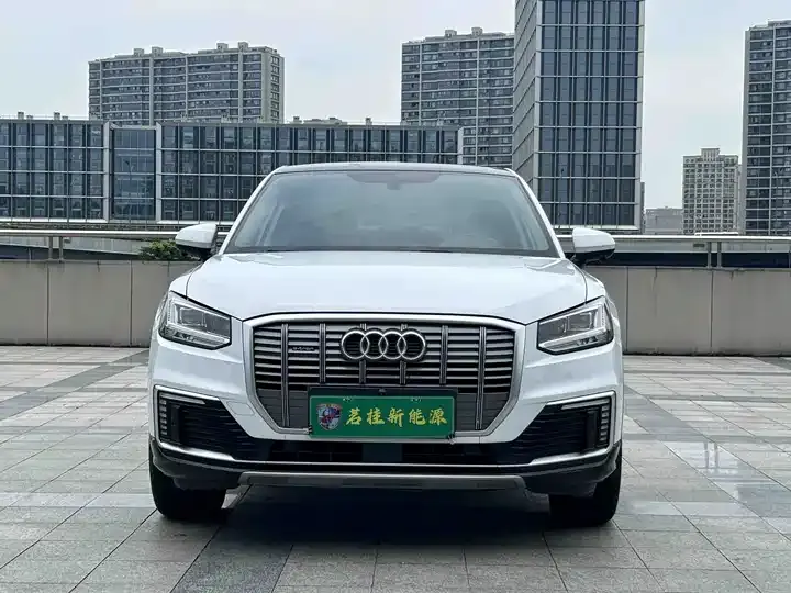 Audi Q2L e-tron 2019 Q2L e-tron Pure Electric Intelligence 2