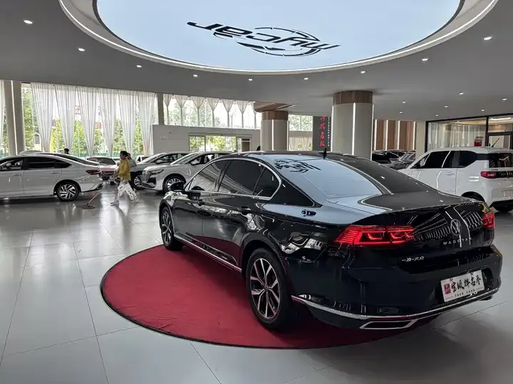 Magotan 2020 330TSI DSG Leading Edition 7