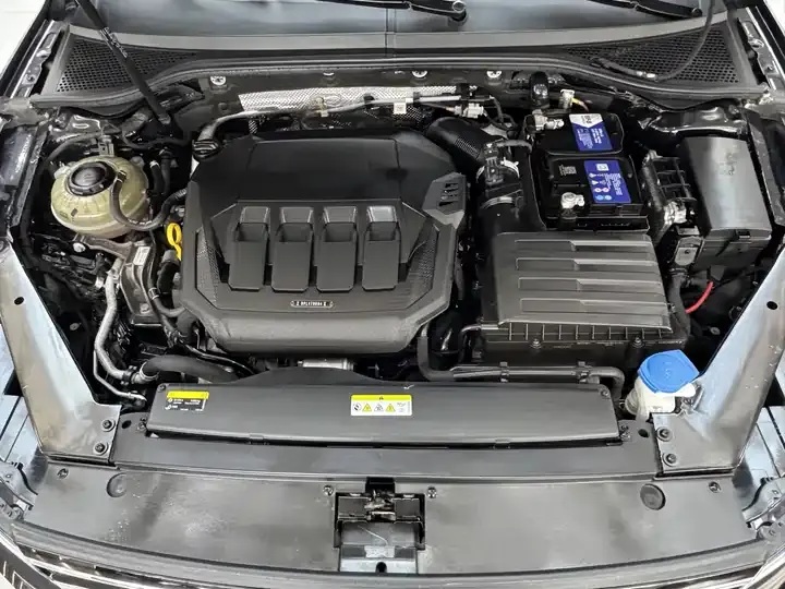 Magotan 2020 330TSI DSG Leading Edition 9