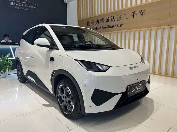 Seagull 2025 Model, 305 km, Freedom Edition - View 1