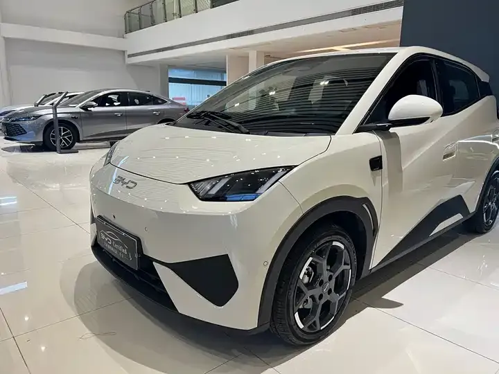 Seagull 2025 Model, 305 km, Freedom Edition 2
