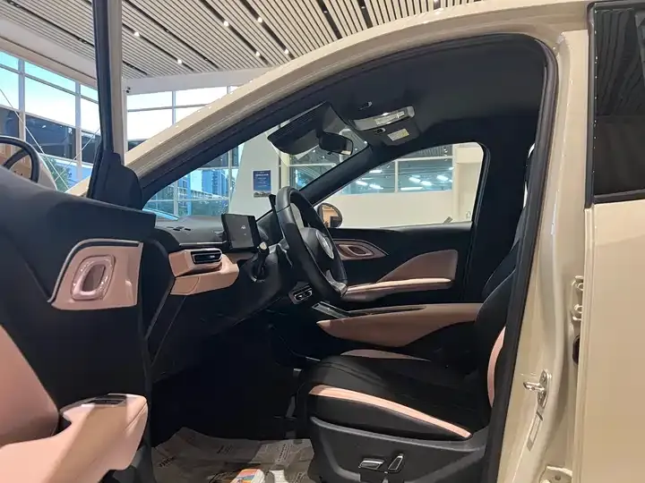 Seagull 2025 Model, 305 km, Freedom Edition 3