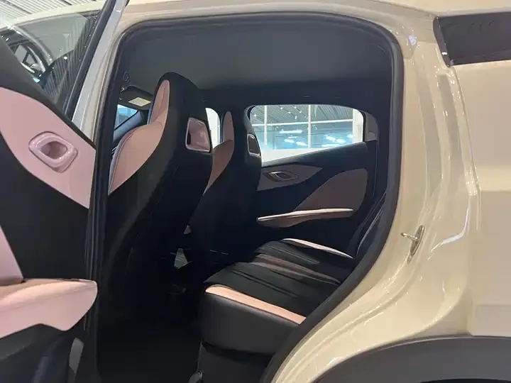 Seagull 2025 Model, 305 km, Freedom Edition 4