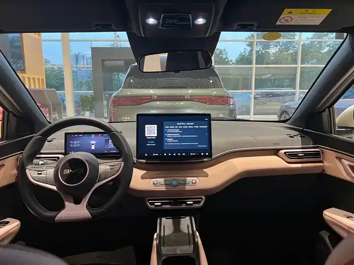 Seagull 2025 Model, 305 km, Freedom Edition 5