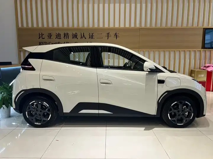 Seagull 2025 Model, 305 km, Freedom Edition 7