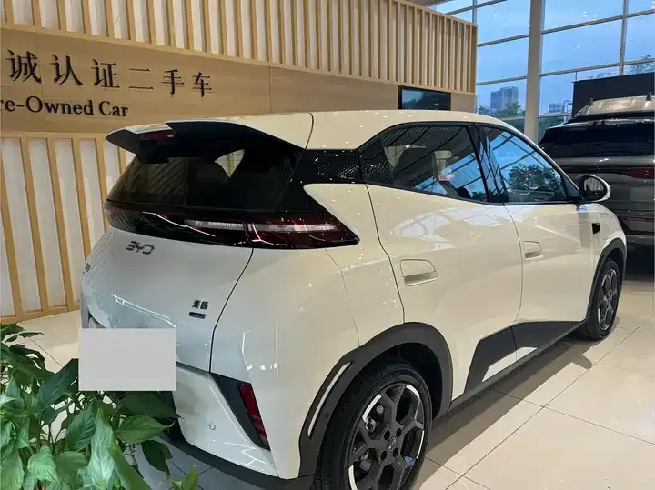 Seagull 2025 Model, 305 km, Freedom Edition 8